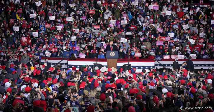 Felicia Kreitl: Trump is the president we deserve