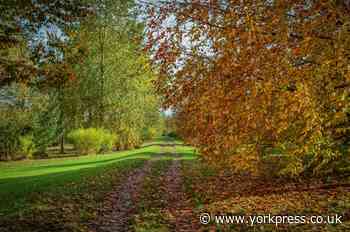 Yorkshire Arboretum shows two autumns at once