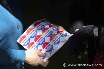 Ransomware hit a Georgia county. That didn't stop its ballot counting.