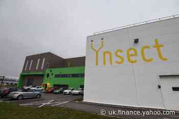 French start-up Ynsect raises $224m to build world's biggest bug farm