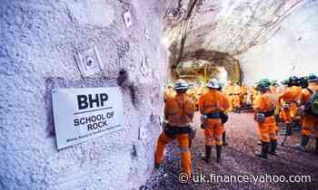 Coalition accused of 'ideological wishlisting' after BHP pulls out of multibillion-dollar project