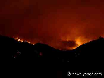 Elderly couple who refused to evacuate home was killed by Colorado wildfire, local authorities say