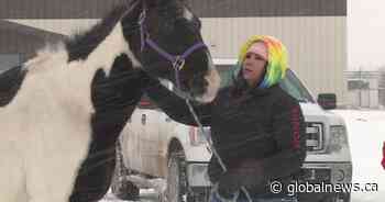 ‘He’ll live in our hearts’: Family of 2018 Calgary stabbing victim holds traditional spirit ride on Blood Reserve