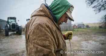 After dodging the worst of COVID-19, rural areas of Minnesota are 'lit up with cases'