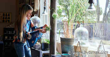 How to Grow a Hydroponic Garden