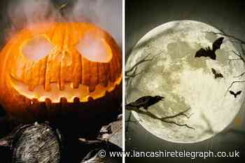Halloween: Why do we celebrate it and where did the modern traditions come from?