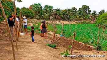 Cien familias de San Vicente y Chone, en Manabí, se benefician de ecohuertos comunitarios - El Universo