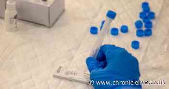 Self-isolation time for coronavirus contacts could be cut to just seven days