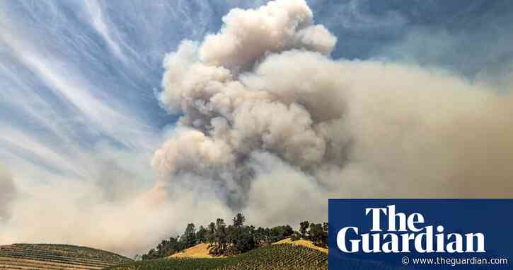 Can California’s top wine region survive the era of megafire?