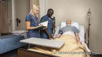 Nursing program collaboration updated to meet health needs - Lethbridge News Now