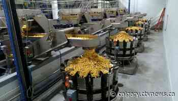 Lethbridge mayor calls rising COVID numbers 'wakeup call' for everyone - CTV Toronto