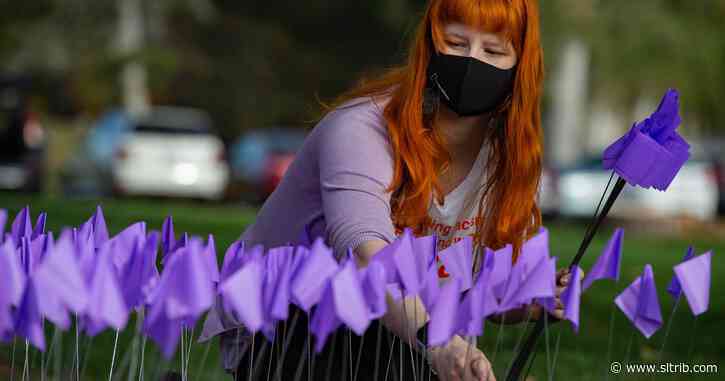 Susan R. Madsen: Show support for victims of domestic violence