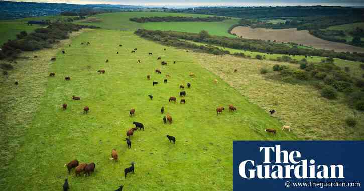 ‘We had nudity on the greens!’ The battle over Britain’s golf courses