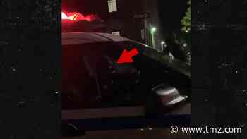 NYPD Cop Blasts 'Trump 2020' Over Car Loudspeaker