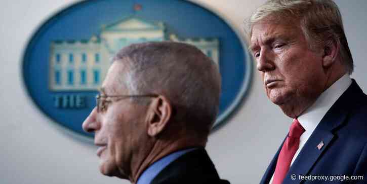 Dr. Fauci contradicted Trump's repeated claims that the US is 'rounding the corner' on COVID-19. It's 'actually going in the wrong direction'