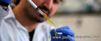 Vaccin: Israël va débuter ses premiers tests cliniques le 1er novembre