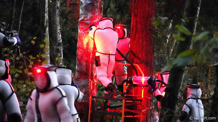 ‘Hazmat’-clad entomologists DESTROY first confirmed ‘murder hornet’ nest in the US (PHOTOS, VIDEO)