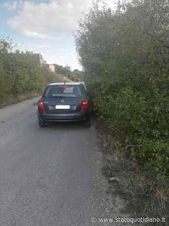 Manfredonia, strada per la Montagna: erba alta e rischio incidenti - StatoQuotidiano.it