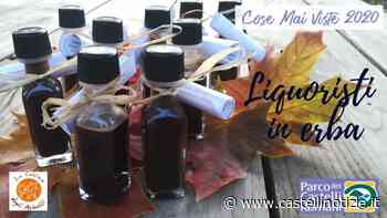 'Liquoristi in erba', oggi alla Collina degli Asinelli (Monte Compatri) il corso per il liquore fatto in casa - Castelli Notizie