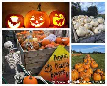 Three pumpkin patches to visit near Bolton - The Bolton News