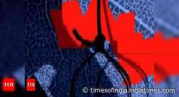 Gujarat: No gadgets to study online, class X girl student ends life in Surat - Times of India