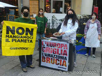 Greenpeace in azione oggi a Bologna per l'amazzonia - Modena 2000