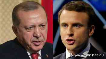 Turkish president says Macron needs mental 'treatment' over response to teacher beheading