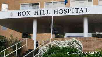 Box Hill Hospital COVID ward the source of northern suburbs outbreak