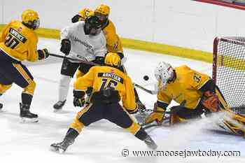AAA Warriors shut out Swift Current for second-straight exhibition game - moosejawtoday.com