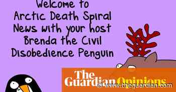 It's your regular Arctic death-spiral update with Brenda the Civil Disobedience Penguin | First Dog on the Moon