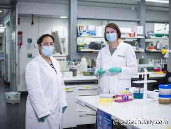 People Who Have Recovered From COVID-19 Could Hold the Key to Understanding Immunity to the Disease