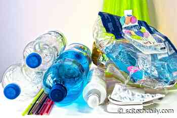 New Research Finds Bioplastics Are Just As Toxic as Ordinary Plastics