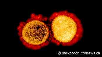 COVID-19 case confirmed at St. Nicholas Catholic School in Saskatoon