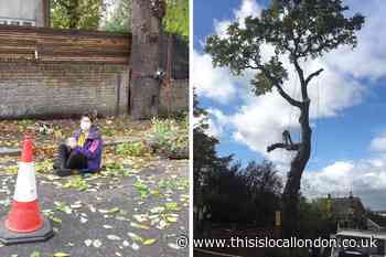 Croydon woman sits in road to protest tree felling