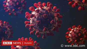 Coronavirus: 5 características que hacen tan mortal a la covid-19 - BBC News Mundo
