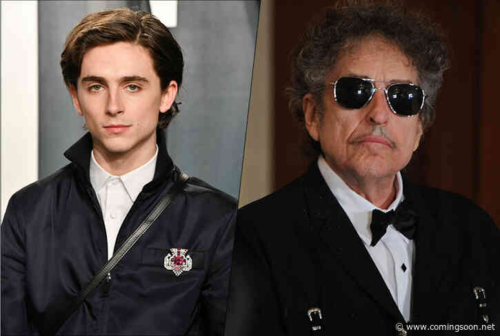 Timothée Chalamet-Led Bob Dylan Biopic Paused Indefinitely