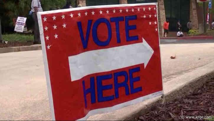Some businesses give employees time off to vote