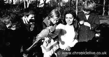 The 'forgotten' zoo and a visit by Newcastle West End schoolchildren