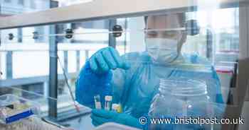 Bristol records more than 200 new coronavirus cases in 24 hours