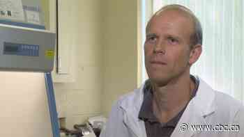 Ontario dog first in Canada to test positive for COVID-19, but researcher says there are likely more