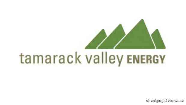 Tamarack ordered to pay $80K following guilty plea in provincial court