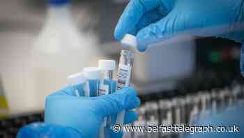 Coronavirus outbreak at meat processing factory sees 140 test positive