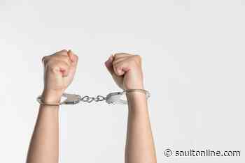 Crime Running Wild in the Sault: Some councillors respond
