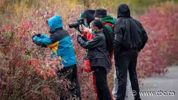 This BIPOC birding group started in London, England. It's now taken flight in Toronto