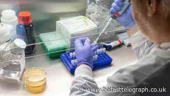 Coronavirus: Preparations are underway for Northern Ireland Covid-19 virus vaccine this year 'in best case scenario'