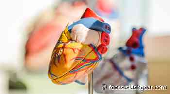 Study links keto diet and fasting with major impact on heart failure