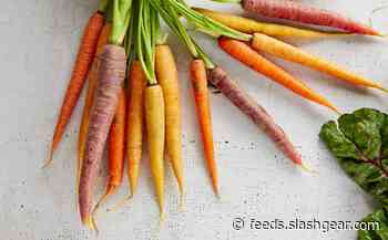 Study finds vitamin triggers body to create special calorie-burning fat