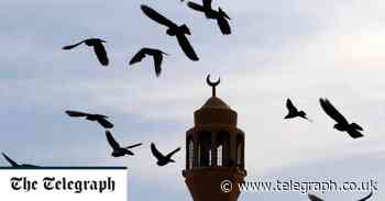 Fish and chip entrepreneur sues Saudi royals in row over unpaid debts - Telegraph.co.uk