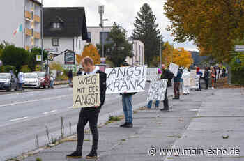 Das war die »Querdenker«-Demo in Aschaffenburg - Main-Echo