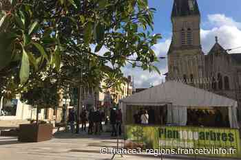 Cusset : 1000 arbres pour la ville - Franceinfo